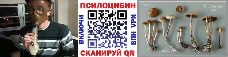 Псилоцибиновые грибы прущие грибы  магазин продажи   Карабаш 